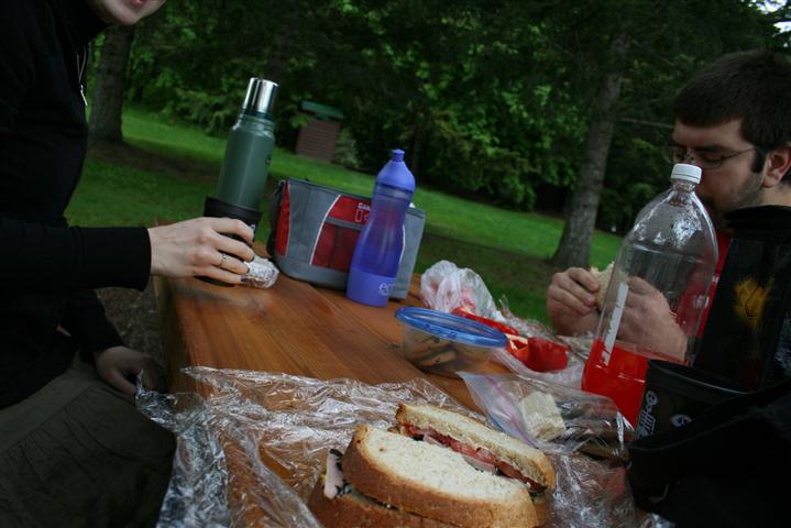 Spring is a wonderful time for a picnic with friends.