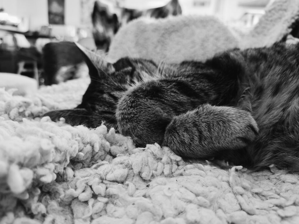 A tabby cat is sleeping with both paws over his face.